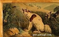 Discover the Lost Tahitian Dog: History, Traits, and Legacy