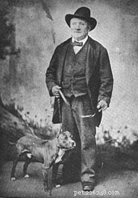 Bull and Terrier: The Extinct Breed that Shaped Modern Terriers