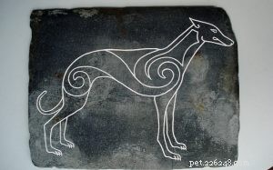 Celtic Hounds: The Lost Irish Sighthound of the 17th-18th Century