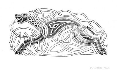 Celtic Hounds: The Lost Irish Sighthound of the 17th-18th Century