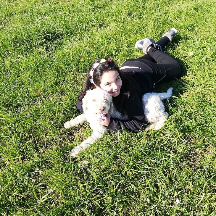 Lagotto Romagnolo Puppies: Growth, Care & Truffle‑Hunting Insights