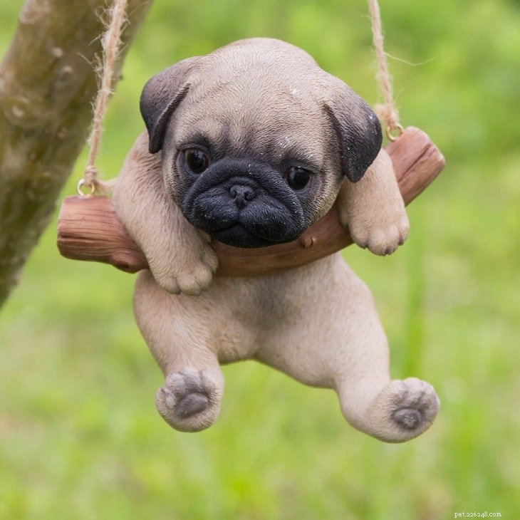 Adorable Pug Puppies Gallery: Cute & Charming Companions