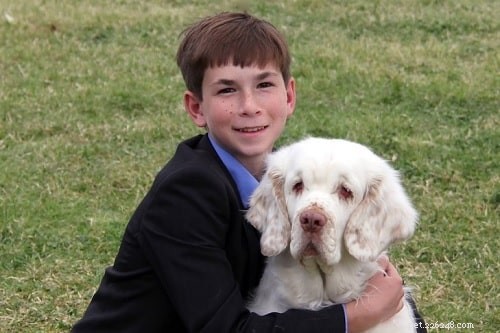 Understanding Clumber Spaniel Behavior: Traits, Care, and Family Fit
