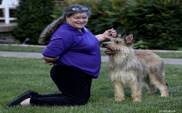Berger Picard Dog Behavior: Temperament, Traits & Care