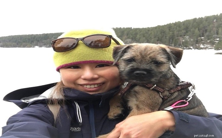 Border Terrier Behavior: Traits, Temperament, and Family Life