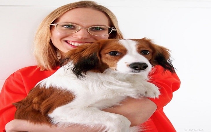 Nederlandse Kooikerhondje: Behavior, Traits, and Family Compatibility