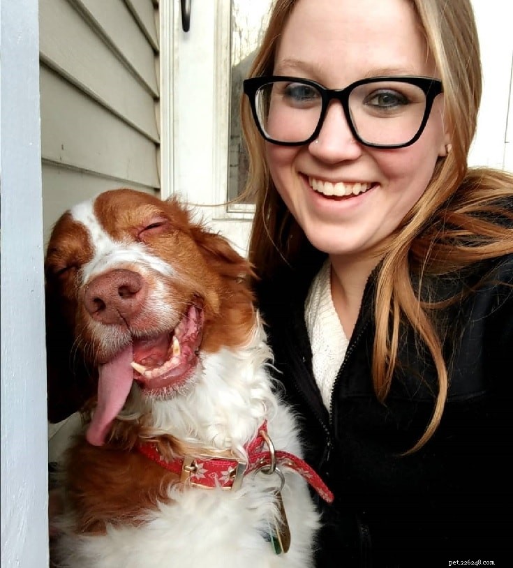 Brittany Spaniel Traits: Energetic, Intelligent, and Ideal for Active Families