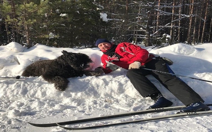 Bouvier des Flandres Personality: Traits, Training & Family Life