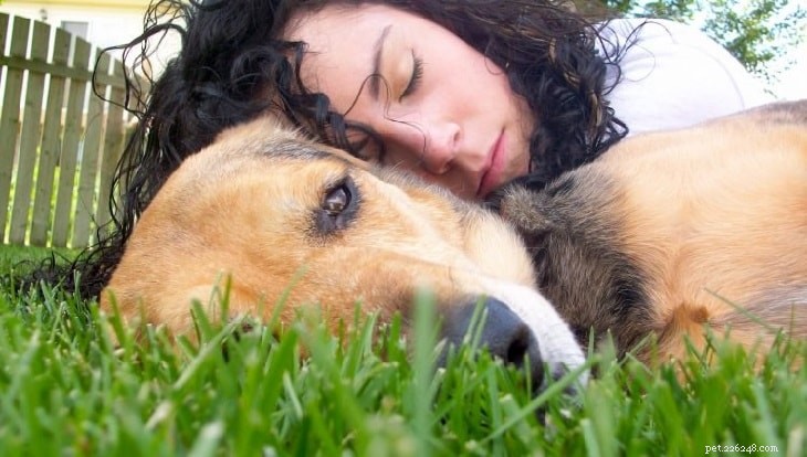 Understanding the Behavior of the American Leopard Hound