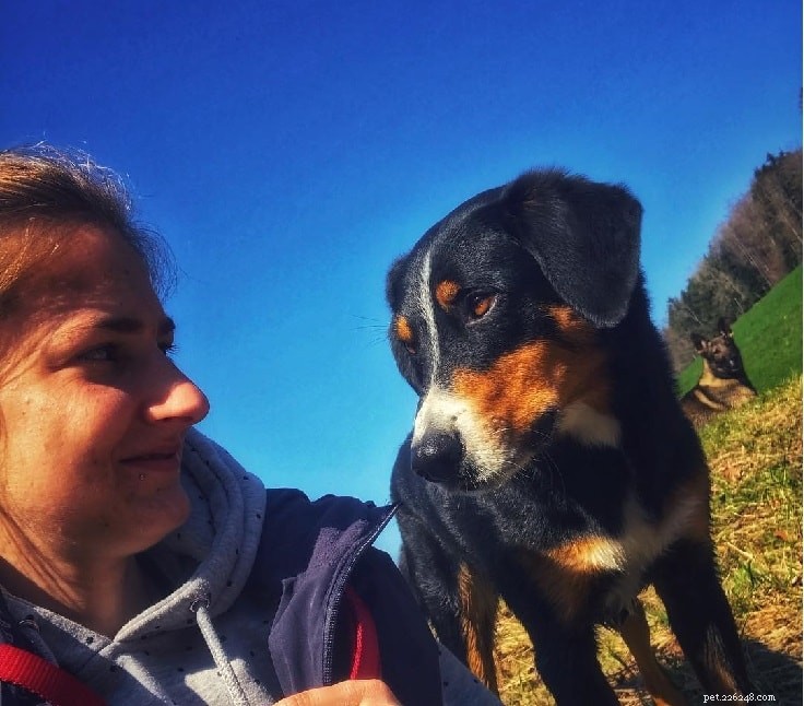 Understanding Appenzeller Sennenhund Behavior: A Guide for Prospective Owners