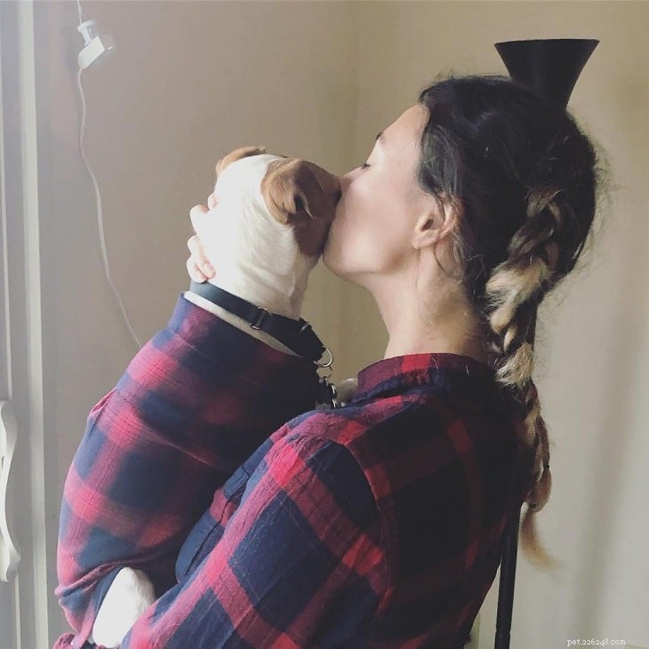 Understanding Parson Russell Terrier Behavior: Traits, Temperament, and Care