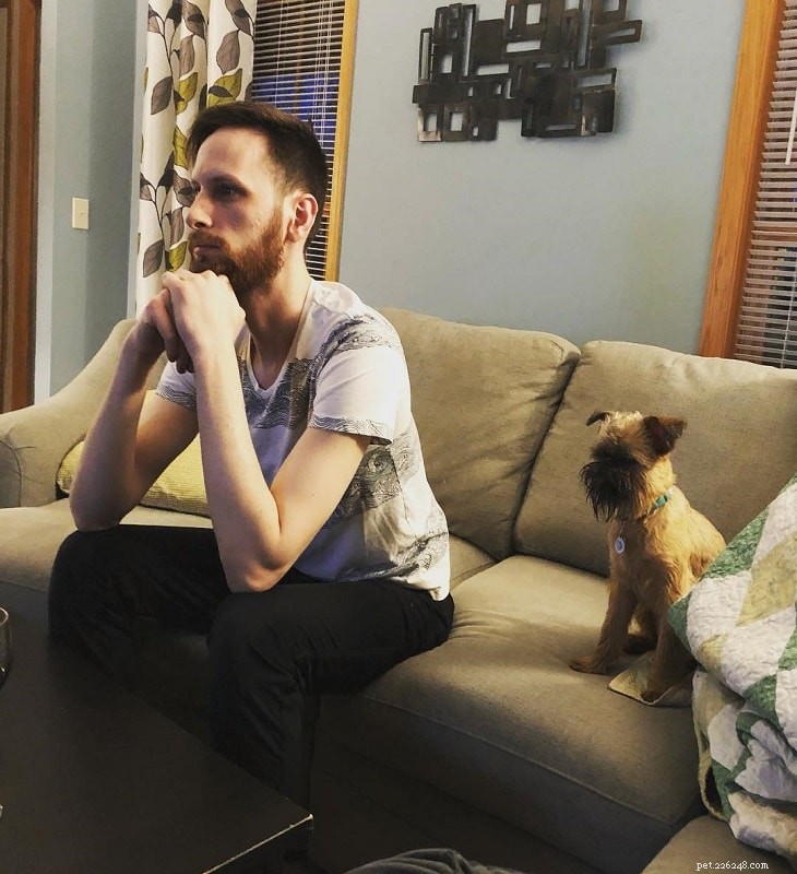 Brussels Griffons: Smart, Sensitive, and Alert Family Companions