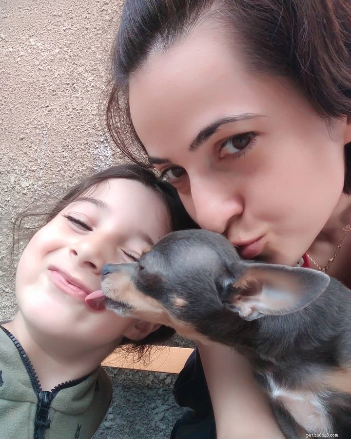 Russian Toy Dog: Playful Companion for Families