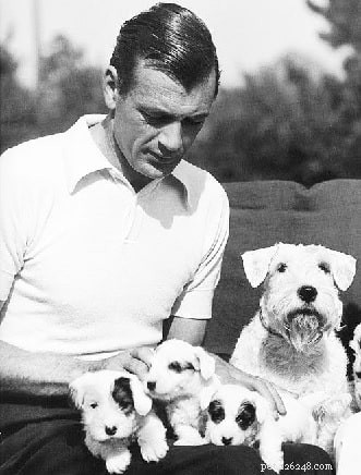 Sealyham Terrier: Behavior, Personality & Living Tips for New Owners