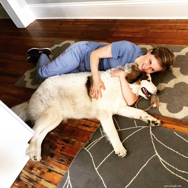 Tornjak Behavior: Loyalty, Energy, and Family Bonding