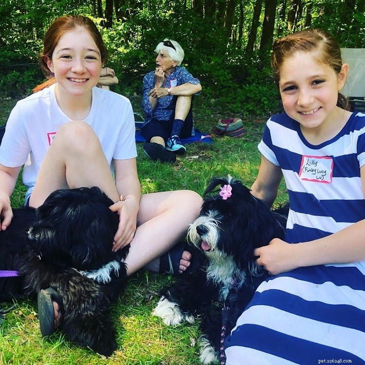 Understanding Tibetan Terrier Behavior: Traits, Care, and Family Compatibility