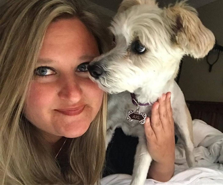 Yorkie-Poo Behavior: Smart, Playful, and Ideal for Active Homes