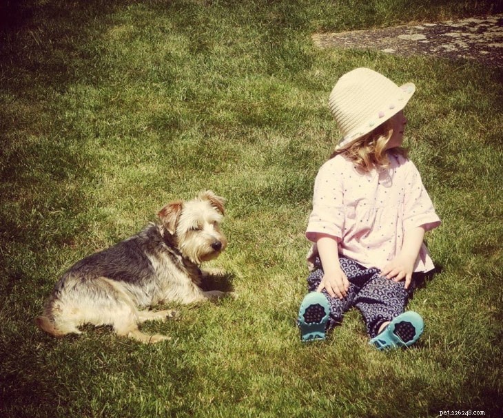 Understanding the Temperament and Care of Yorkie Russell Terriers