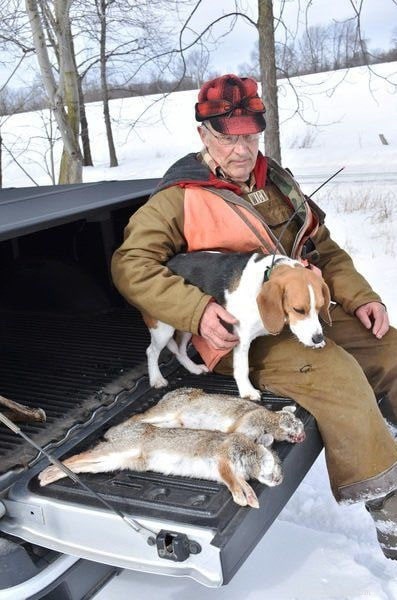 Drever Dog: Swedish Hunting Hound, Loyal & Active Companion