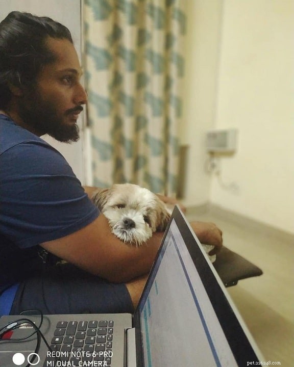 Understanding Cavachon Dog Behavior: Temperament, Training & Care
