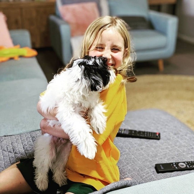 Maltipoo: The Charming Maltese‑Poodle Hybrid for Lapdogs