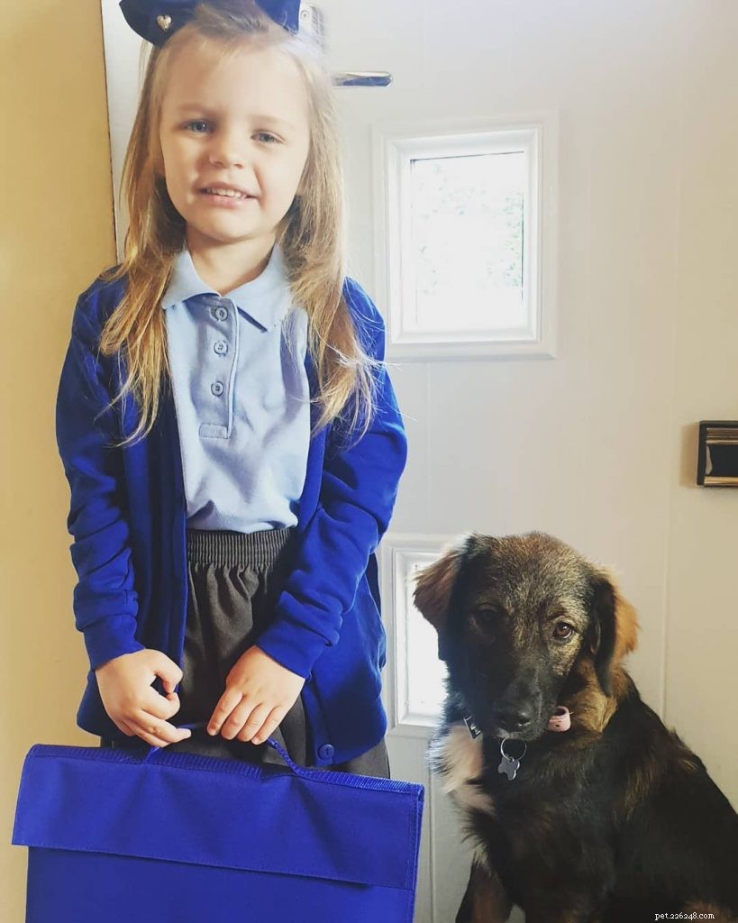 Carpathian Shepherd: Temperament, Activity Needs & Ideal Living