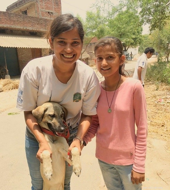 Indian Pariah Dog: Traits, Temperament, and Care Guide