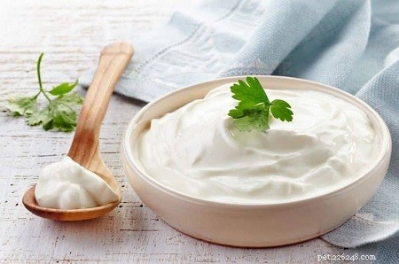 Can Dogs Safely Eat Sour Cream? Vet-Approved Guidelines