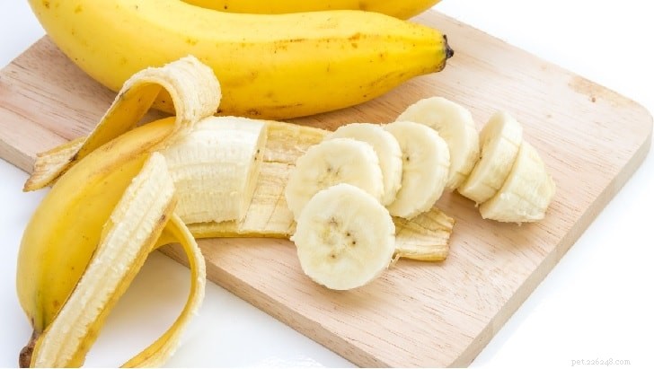 Can Dogs Safely Eat Bananas? A Guide to Benefits and Serving Size