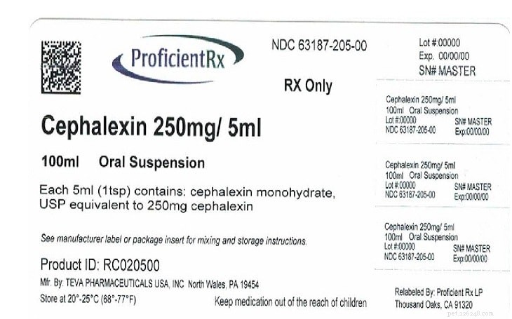 Cephalexin for Dogs: Safe Dosage, Side Effects, and Proper Usage Guide