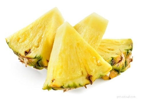 Can Dogs Eat Pineapple? Health Benefits & Feeding Guide