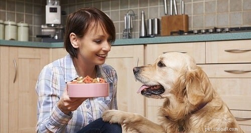 Panacur for Dogs: Safe Use, Dosage, and Side Effects Explained