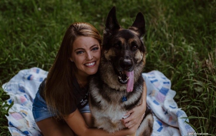Master German Shepherd Training: Expert Tips for a Well-Balanced Guard Dog