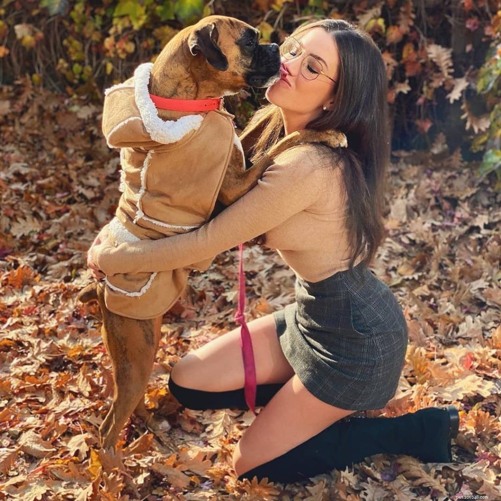 Mastering Boxer Training: Proven Techniques for a Well‑Behaved Companion