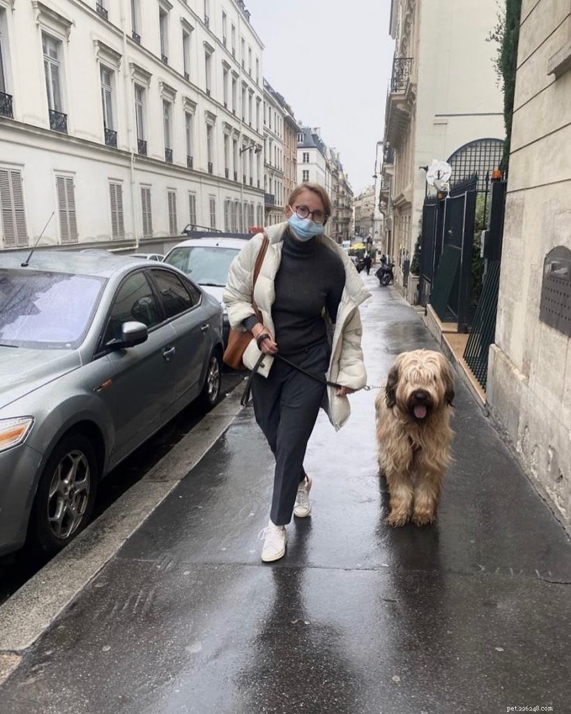 Effective Briard Training: Tips for Loyal, Family‑Friendly Dogs