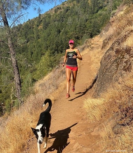 McNab Shepherd Training: Unlocking Your Dog s Athletic Potential