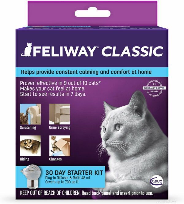 Supporting Cats with Fears and Phobias: Expert Guidance
