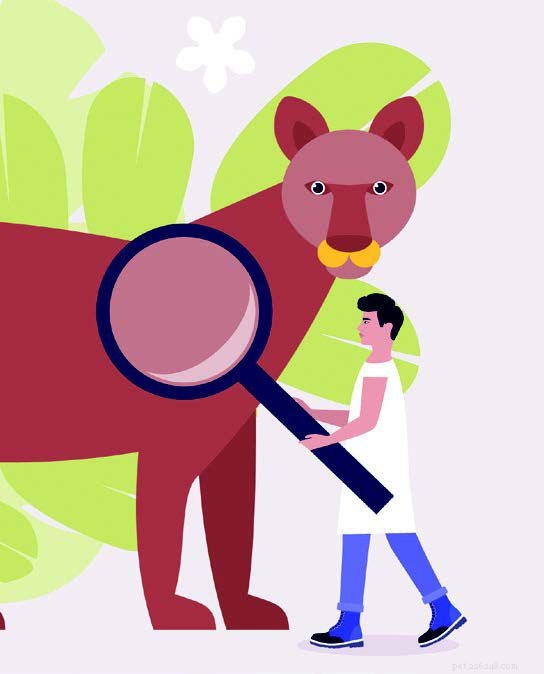 9 Fascinating Ways Humans and Cats Share Biological and Psychological Traits