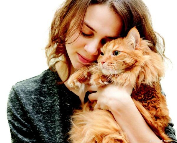 9 Fascinating Ways Humans and Cats Share Biological and Psychological Traits