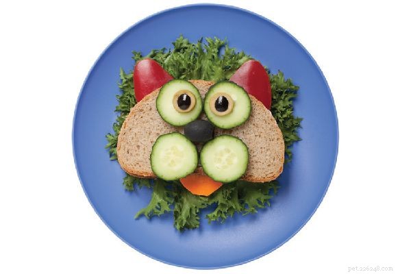 Can Cats Thrive on a Vegan Diet? Expert Insights on Vegan Cat Food