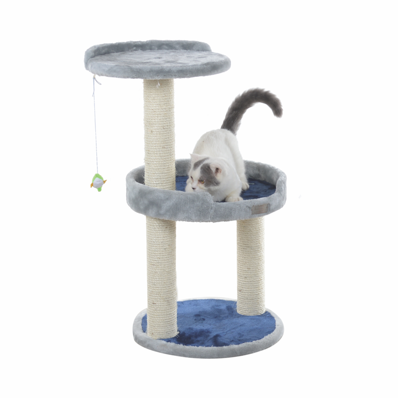 Essential Checklist for Welcoming a New Cat