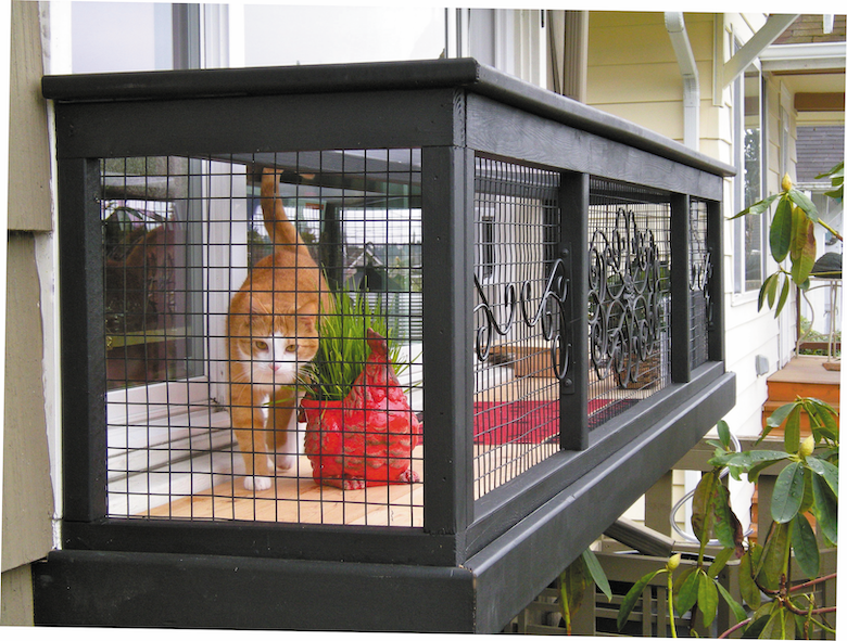 Essential Checklist for Welcoming a New Cat