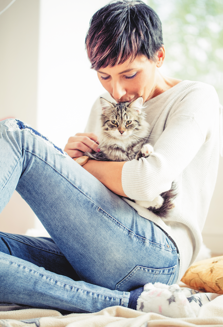 Choosing the Ideal Cat: A Guide to Matching Your Family’s Lifestyle
