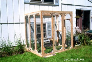Top 5 Outdoor Cat Enclosures & Cages for Safe, Enriching Outdoor Play