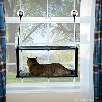 Top 5 Outdoor Cat Enclosures & Cages for Safe, Enriching Outdoor Play