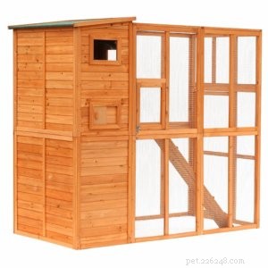 Top 5 Outdoor Cat Enclosures & Cages for Safe, Enriching Outdoor Play