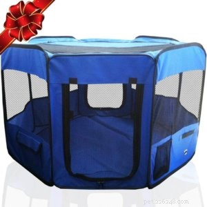 Top 5 Outdoor Cat Enclosures & Cages for Safe, Enriching Outdoor Play