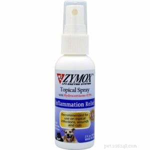 Cat Acne Explained: Causes, Effective Treatments, and Prevention Tips