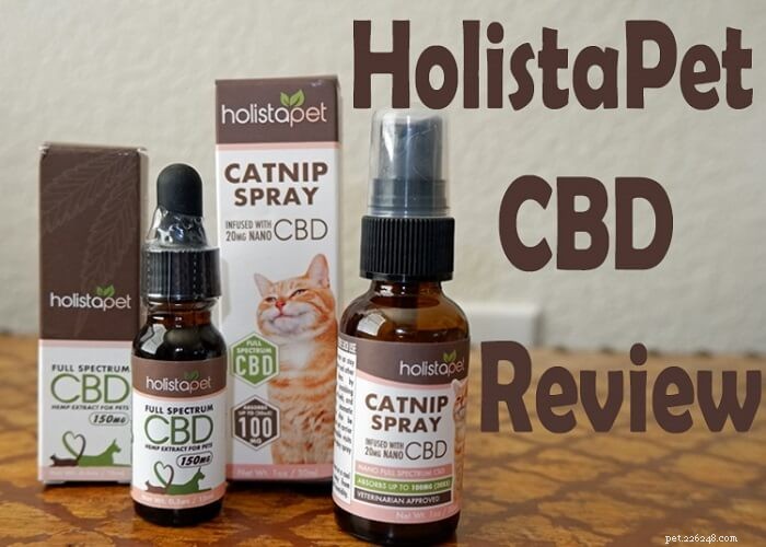 HolistaPet CBD Oil for Cats: A Comprehensive Review