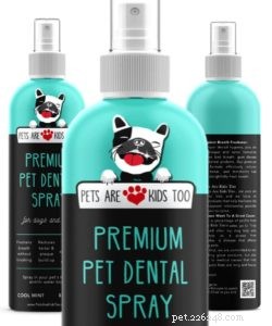 Cat Halitosis: Causes, Treatment, and Prevention